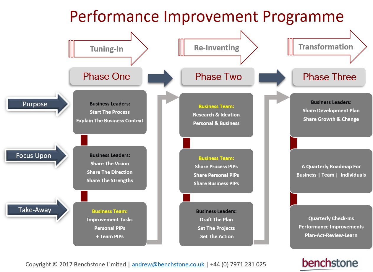 Performance Improvement Programme Schematic